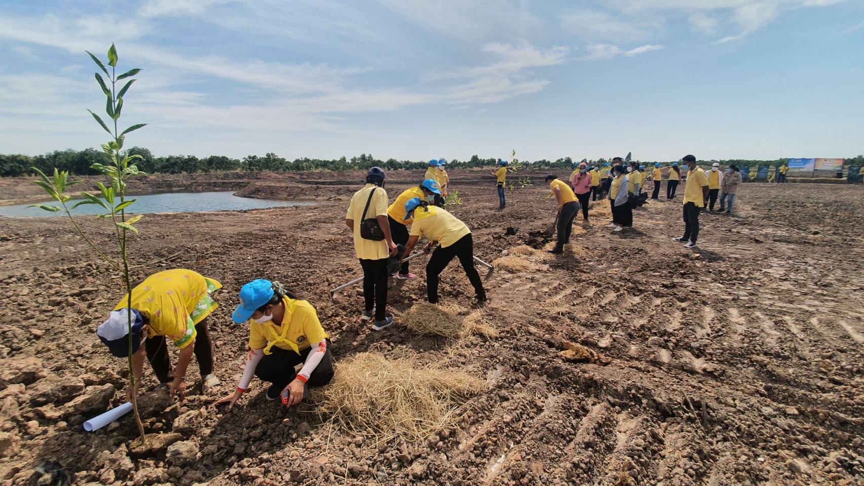 ?จังหวัดฉะเชิงเทรา จัดกิจกรรมวันดินโลก (World Soil Day)?