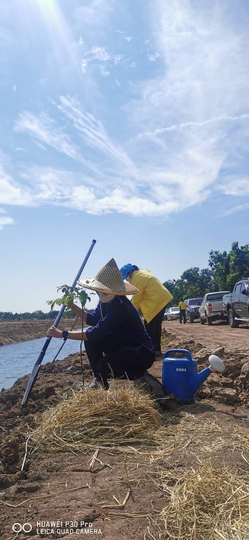 ?จังหวัดฉะเชิงเทรา จัดกิจกรรมวันดินโลก (World Soil Day)?
