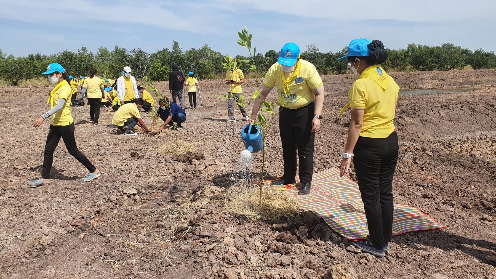 ?จังหวัดฉะเชิงเทรา จัดกิจกรรมวันดินโลก (World Soil Day)?