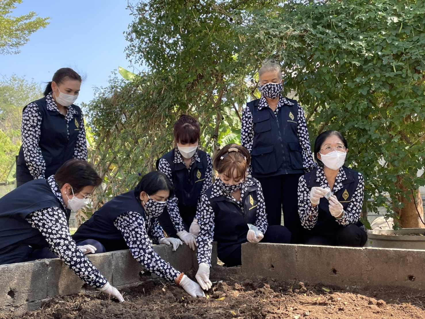 ??‍??พช.ฉะเชิงเทรา : ประธานแม่บ้านมหาดไทยจังหวัดฉะเชิงเทรา ปลูกเมล็ดพันธุ์พระราชทานถั่วฝักยาวสีม่วง สิรินธร เบอร์ 1 จากศูนย์การเรียนรู้โก่งธนู จังหวัดลพบุรี
