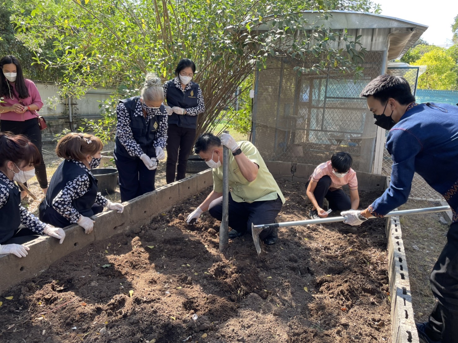 ??‍??พช.ฉะเชิงเทรา : ประธานแม่บ้านมหาดไทยจังหวัดฉะเชิงเทรา ปลูกเมล็ดพันธุ์พระราชทานถั่วฝักยาวสีม่วง สิรินธร เบอร์ 1 จากศูนย์การเรียนรู้โก่งธนู จังหวัดลพบุรี