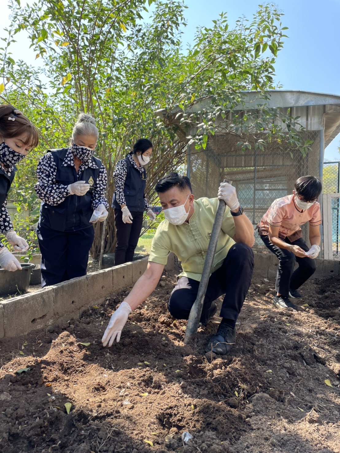 ??‍??พช.ฉะเชิงเทรา : ประธานแม่บ้านมหาดไทยจังหวัดฉะเชิงเทรา ปลูกเมล็ดพันธุ์พระราชทานถั่วฝักยาวสีม่วง สิรินธร เบอร์ 1 จากศูนย์การเรียนรู้โก่งธนู จังหวัดลพบุรี