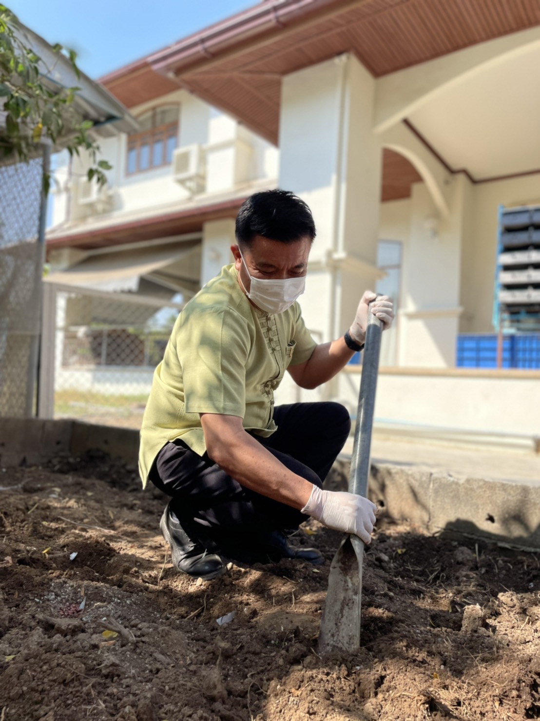 ??‍??พช.ฉะเชิงเทรา : ประธานแม่บ้านมหาดไทยจังหวัดฉะเชิงเทรา ปลูกเมล็ดพันธุ์พระราชทานถั่วฝักยาวสีม่วง สิรินธร เบอร์ 1 จากศูนย์การเรียนรู้โก่งธนู จังหวัดลพบุรี