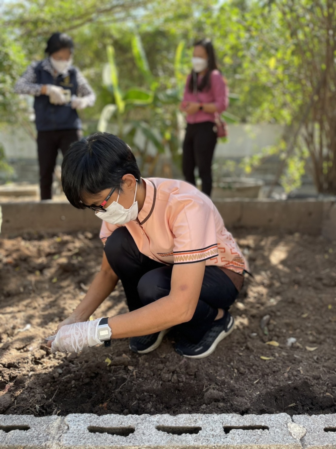 ??‍??พช.ฉะเชิงเทรา : ประธานแม่บ้านมหาดไทยจังหวัดฉะเชิงเทรา ปลูกเมล็ดพันธุ์พระราชทานถั่วฝักยาวสีม่วง สิรินธร เบอร์ 1 จากศูนย์การเรียนรู้โก่งธนู จังหวัดลพบุรี