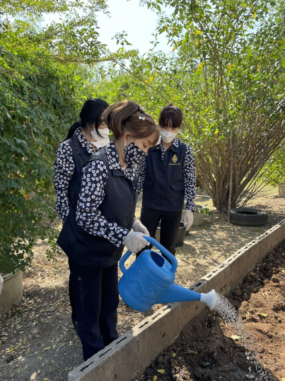 ??‍??พช.ฉะเชิงเทรา : ประธานแม่บ้านมหาดไทยจังหวัดฉะเชิงเทรา ปลูกเมล็ดพันธุ์พระราชทานถั่วฝักยาวสีม่วง สิรินธร เบอร์ 1 จากศูนย์การเรียนรู้โก่งธนู จังหวัดลพบุรี