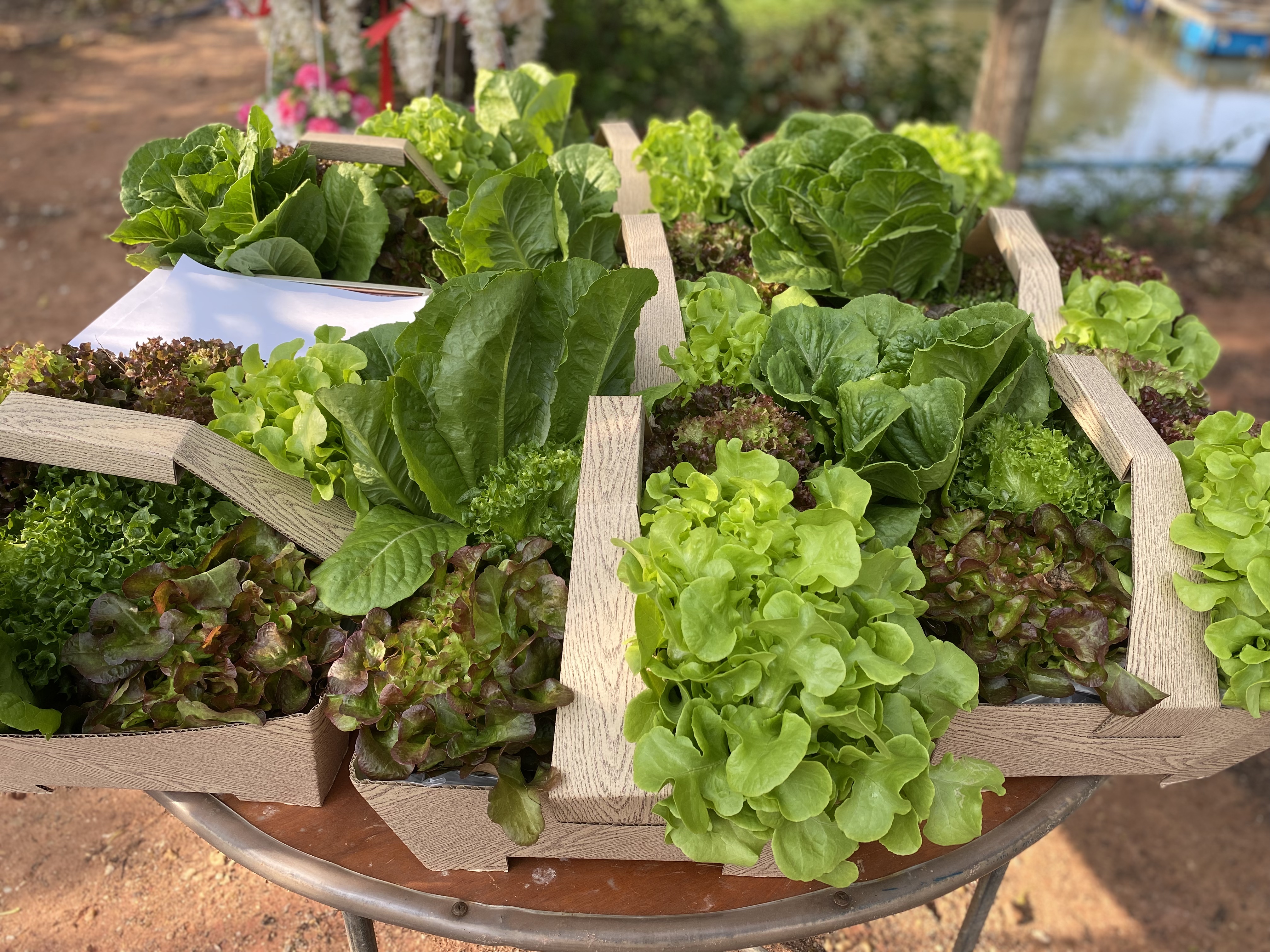 ???‍?พช.ฉะเชิงเทรา จัดโครงการส่งเสริมช่องทางการตลาดผลิตภัณฑ์กลุ่มอาชีพสมาชิกกองทุนพัฒนาบทบาทสตรี ครั้งที่ 4 และโครงการสานสัมพันธ์ครอบครัวอบอุ่นชุมชนเข้มแข็ง