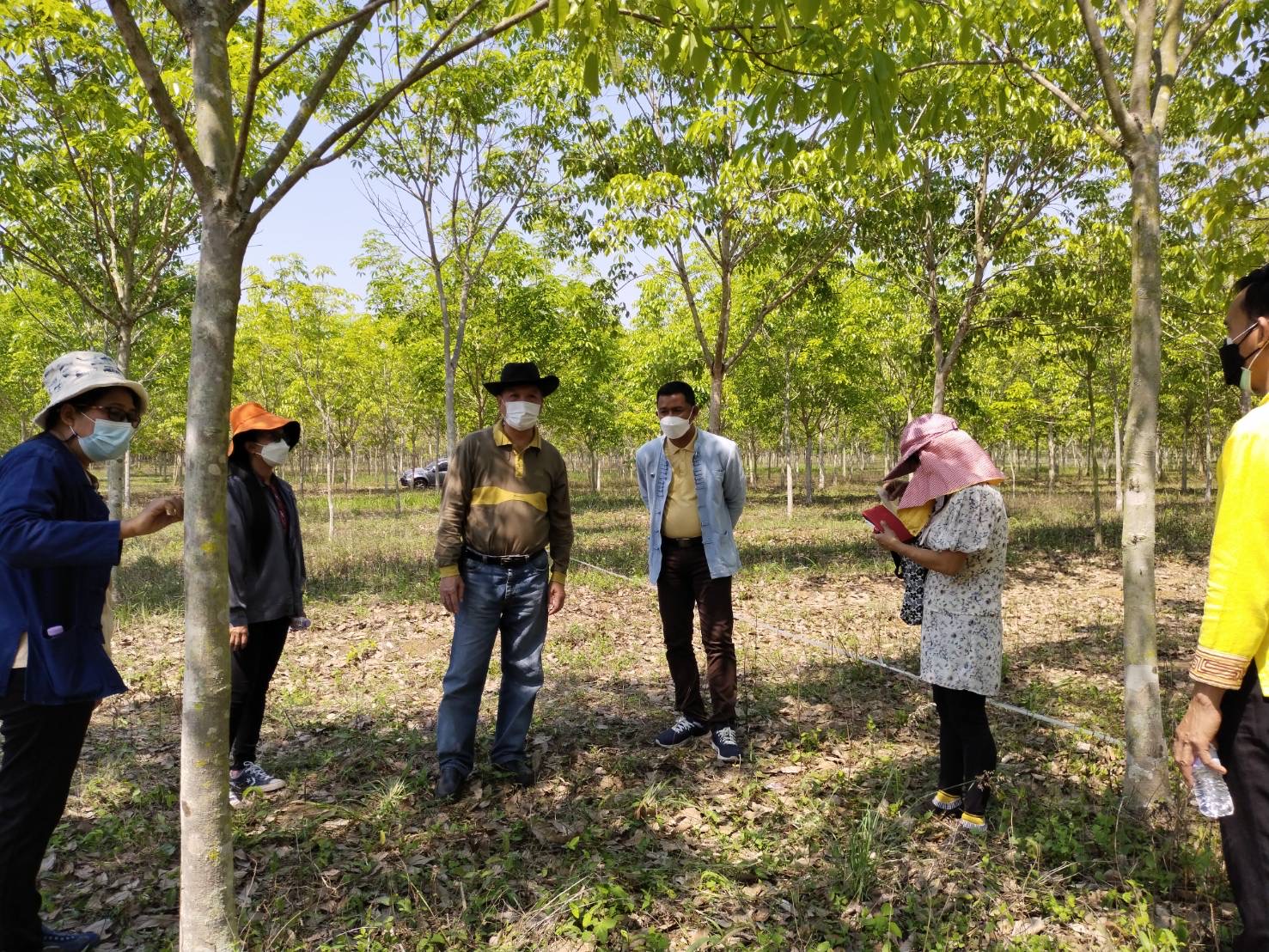 ?ติดตามพื้นที่ดำเนินโครงการ โคก หนอง นา โมเดล ?