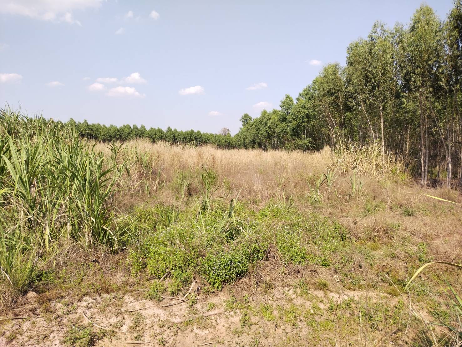 ?ติดตามพื้นที่ดำเนินโครงการ โคก หนอง นา โมเดล ?