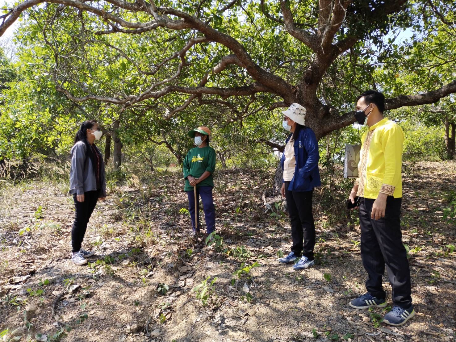 ?ติดตามพื้นที่ดำเนินโครงการ โคก หนอง นา โมเดล ?