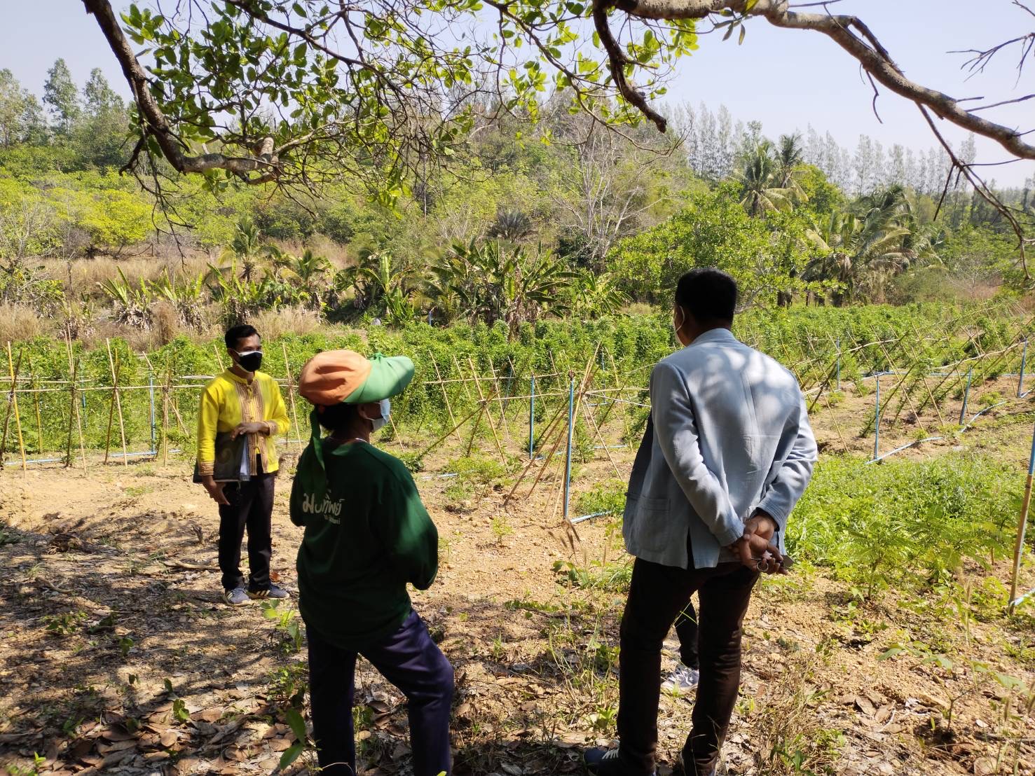?ติดตามพื้นที่ดำเนินโครงการ โคก หนอง นา โมเดล ?
