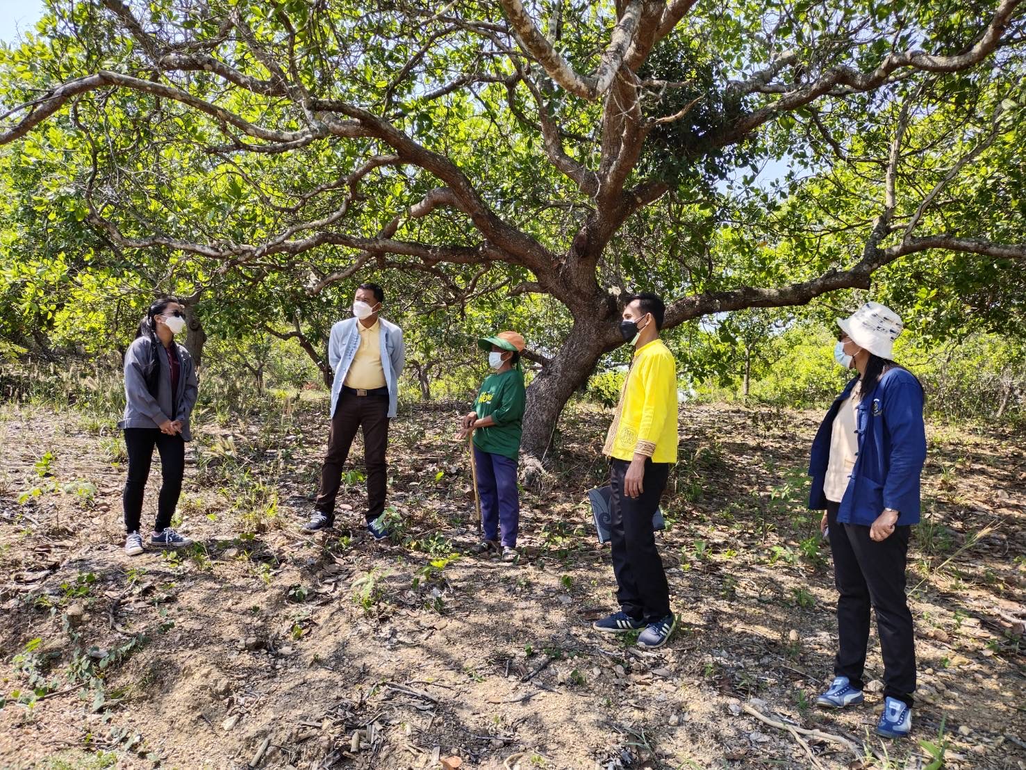 ?ติดตามพื้นที่ดำเนินโครงการ โคก หนอง นา โมเดล ?