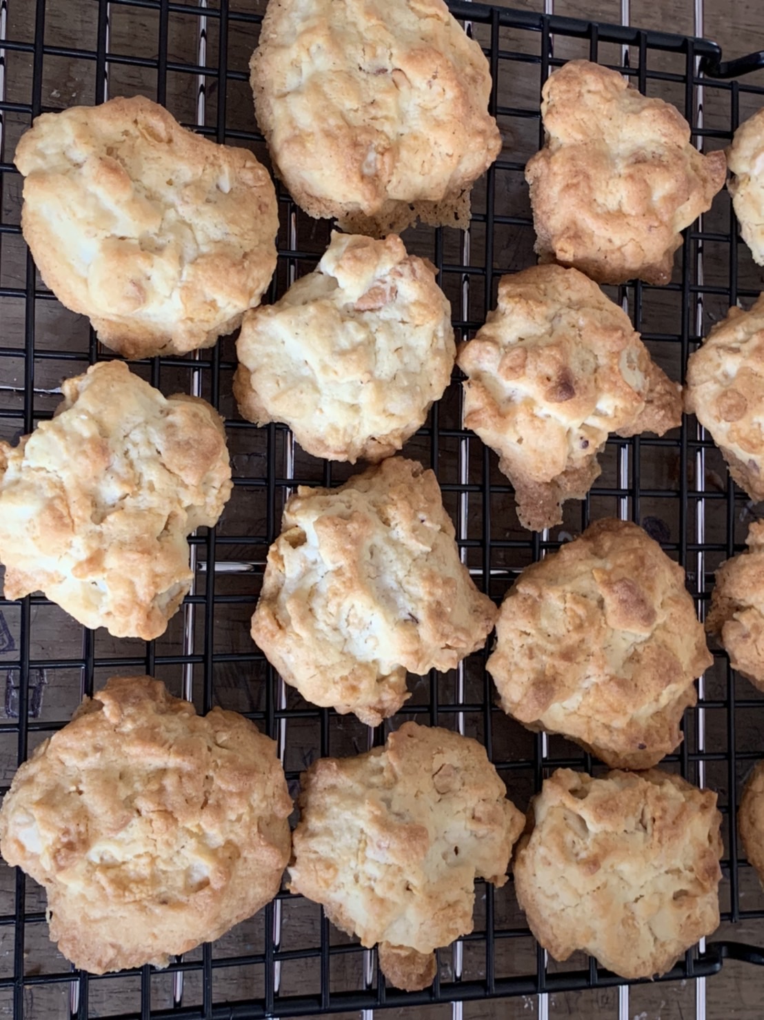 ???พช.ฉะเชิงเทรา ดำเนินโครงการส่งเสริมและพัฒนาเกษตรกร และสถาบันเกษตรให้มีความเข้มแข็งตามหลักปรัชญาของเศรษฐกิจพอเพียง