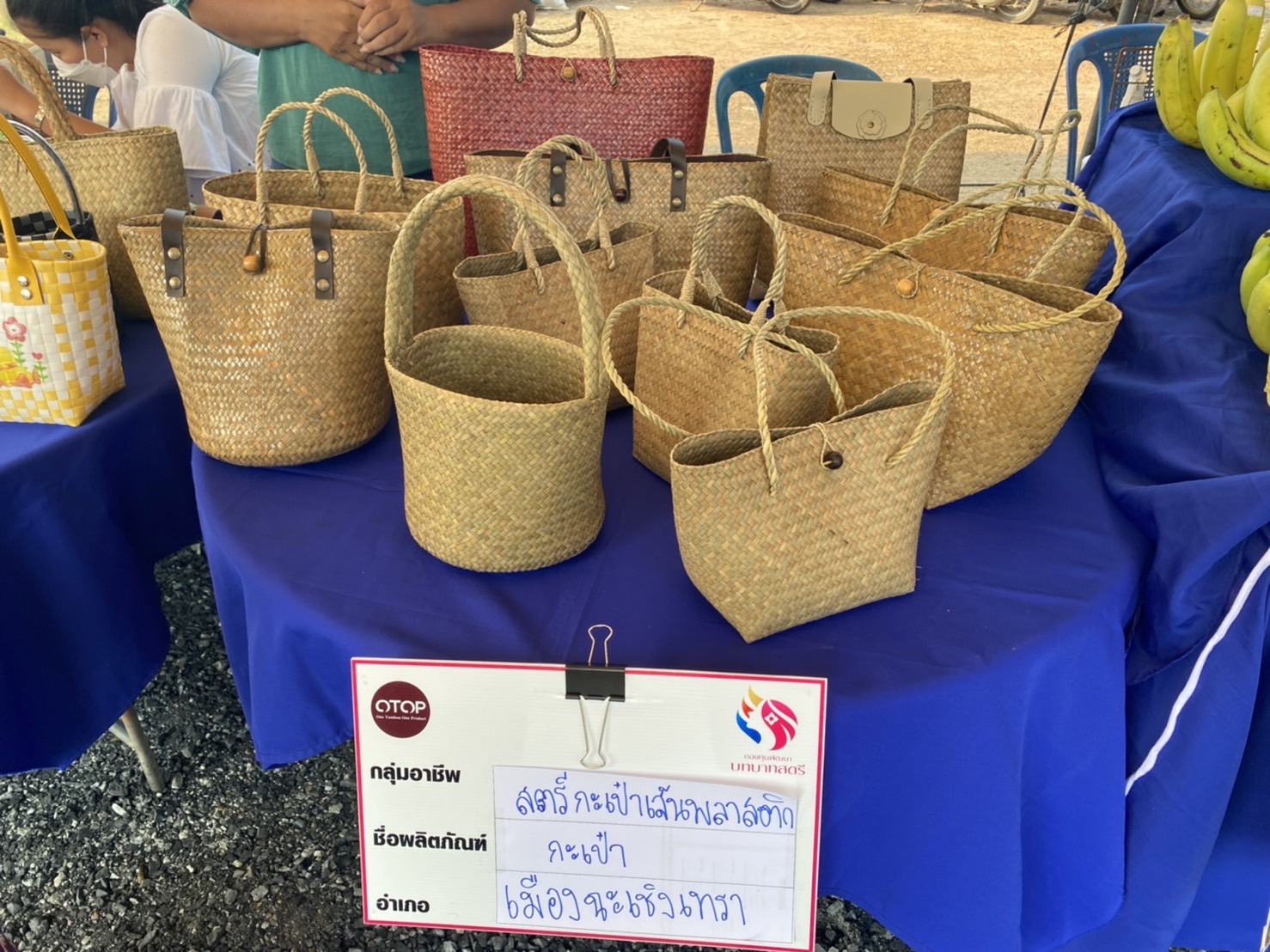 ???‍???พช.ฉะเชิงเทรา จัดกิจกรรมวันสตรีสากล ประจำปี 2565โครงการรวมพลังสตรี สร้างอาชีพเสริม เพิ่มรายได้ กิจกรรมรวมพลังสตรี ปลูกพืช ปลูกผัก และกิจกรรมส่งเสริมช่องทางการตลาดกลุ่มอาชีพกองทุนพัฒนาบทบาทสตรี ครั้งที่ 6