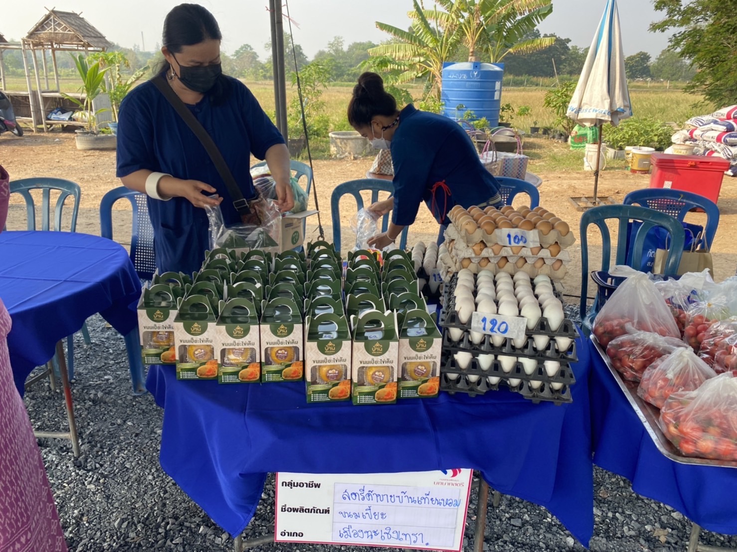 ???‍???พช.ฉะเชิงเทรา จัดกิจกรรมวันสตรีสากล ประจำปี 2565โครงการรวมพลังสตรี สร้างอาชีพเสริม เพิ่มรายได้ กิจกรรมรวมพลังสตรี ปลูกพืช ปลูกผัก และกิจกรรมส่งเสริมช่องทางการตลาดกลุ่มอาชีพกองทุนพัฒนาบทบาทสตรี ครั้งที่ 6