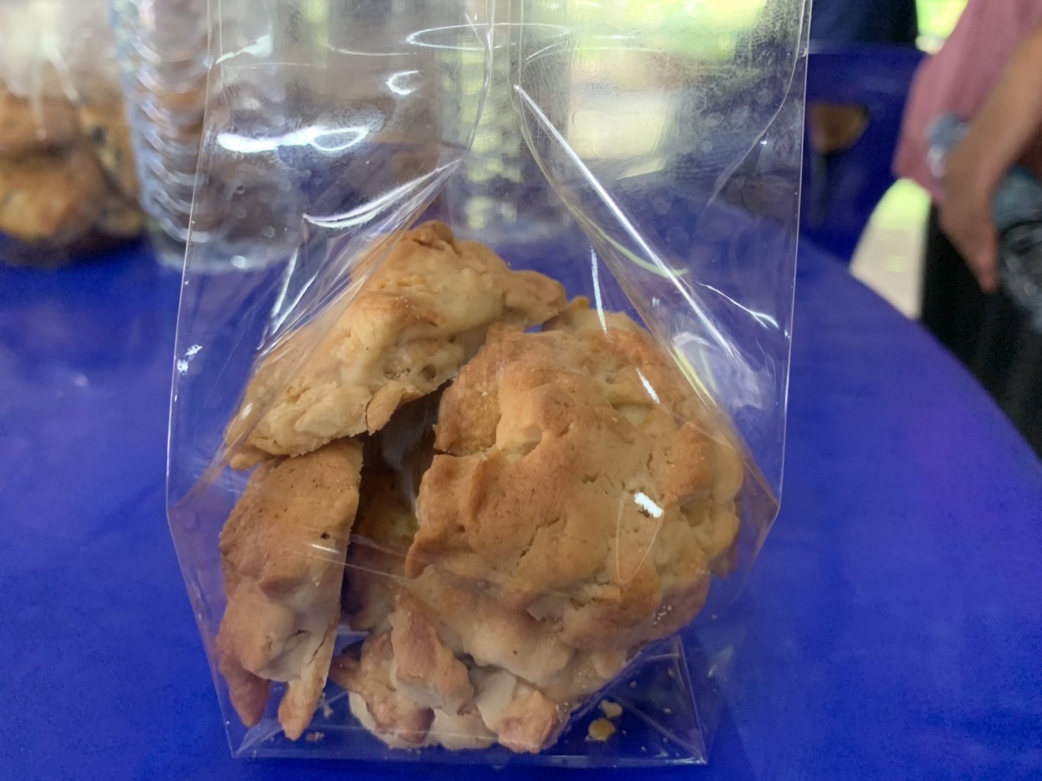 ???พช.ฉะเชิงเทรา ดำเนินโครงการส่งเสริมและพัฒนาเกษตรกร และสถาบันเกษตรให้มีความเข้มแข็งตามหลักปรัชญาของเศรษฐกิจพอเพียง