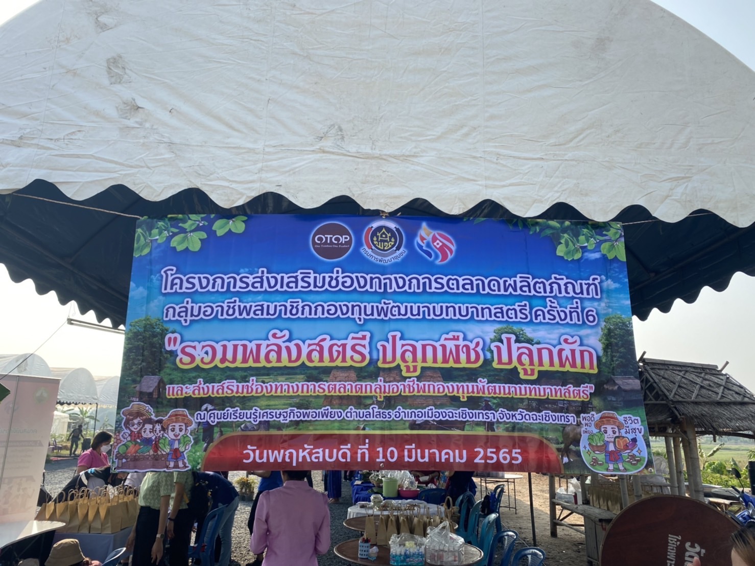 ???‍???พช.ฉะเชิงเทรา จัดกิจกรรมวันสตรีสากล ประจำปี 2565โครงการรวมพลังสตรี สร้างอาชีพเสริม เพิ่มรายได้ กิจกรรมรวมพลังสตรี ปลูกพืช ปลูกผัก และกิจกรรมส่งเสริมช่องทางการตลาดกลุ่มอาชีพกองทุนพัฒนาบทบาทสตรี ครั้งที่ 6