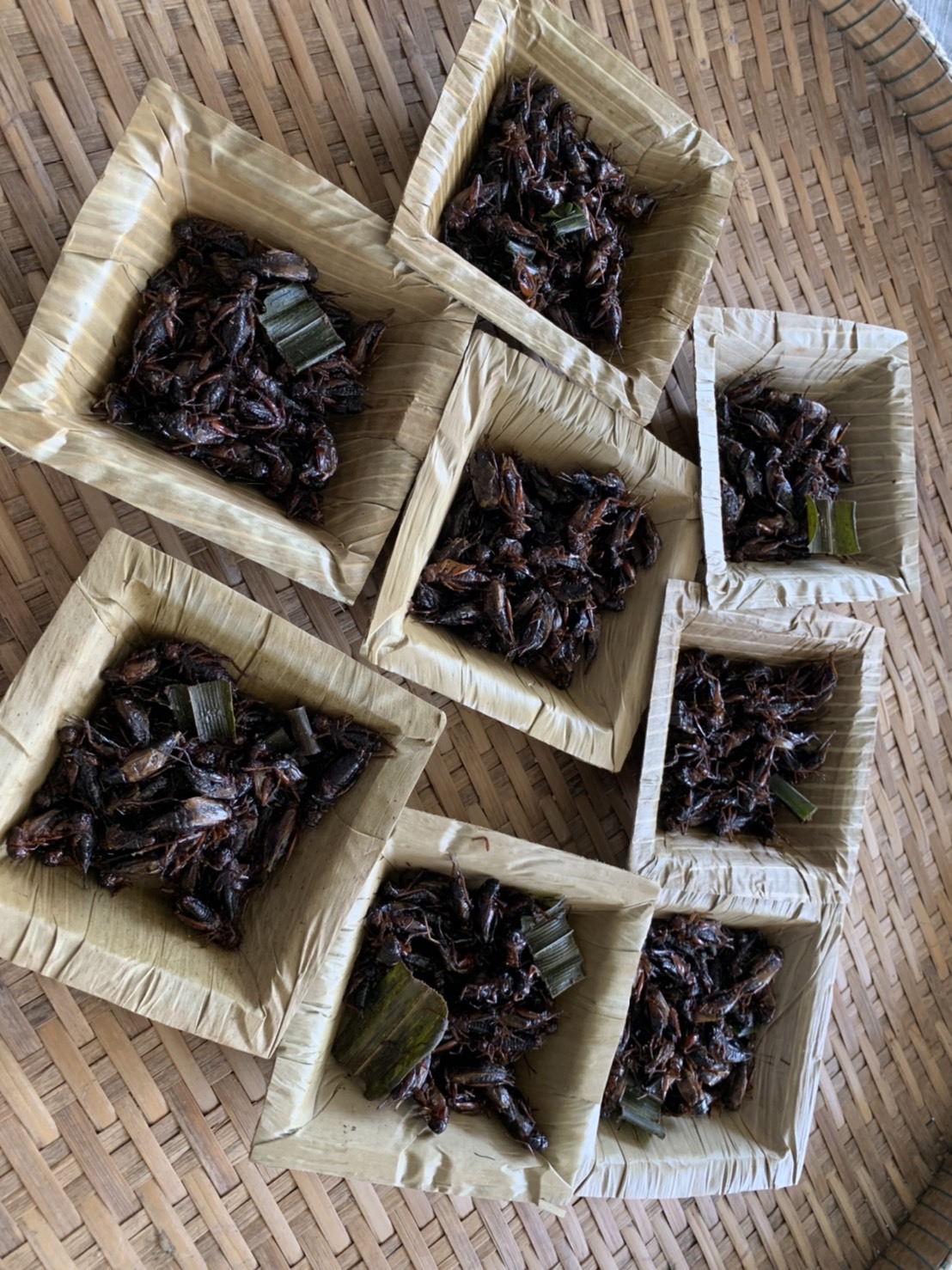 ???130 ปี กระทรวงมหาดไทย ? ฉะเชิงเทรา :แม่น้ำบางปะกงแหล่งชีวิต พระศักดิ์สิทธิ์หลวงพ่อโสธร พระยาศรีสุนทรปราชญ์ภาษาไทย เขาอ่างฤาไนป่าสมบูรณ์  ?  ผู้ว่าฯ ฉะเชิงเทรา เปิดโครงการส่งเสริมการท่องเที่ยวเชิงสร้างสรรค์และวัฒนธรรม กิจกรรมส่งเสริมการเรียนรู้ที่นักท่องเที่ยวลงมือปฏิบัติ (D-HOPE) และมอบป้ายสื่อประชาสัมพันธ์ให้กับผู้ประกอบการ Champ จำนวน 12 โปรแกรม ณ บ้านเนินน้อย อำเภอท่าตะเกียบ จังหวัดฉะเชิงเทรา