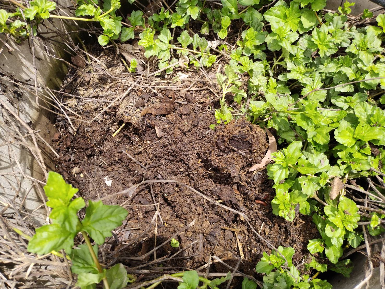 ?แปดริ้วเตรียมความพร้อมการประกวดหมู่บ้านต้นแบบการน้อมนำแนวพระราชดำริไปประยุกต์ใช้ โครงการ 9;10 ปฏิบัติบูชา “สืบสาน รักษา ต่อยอด”เพื่อพัฒนาชุมชน ประจำปี 2565??