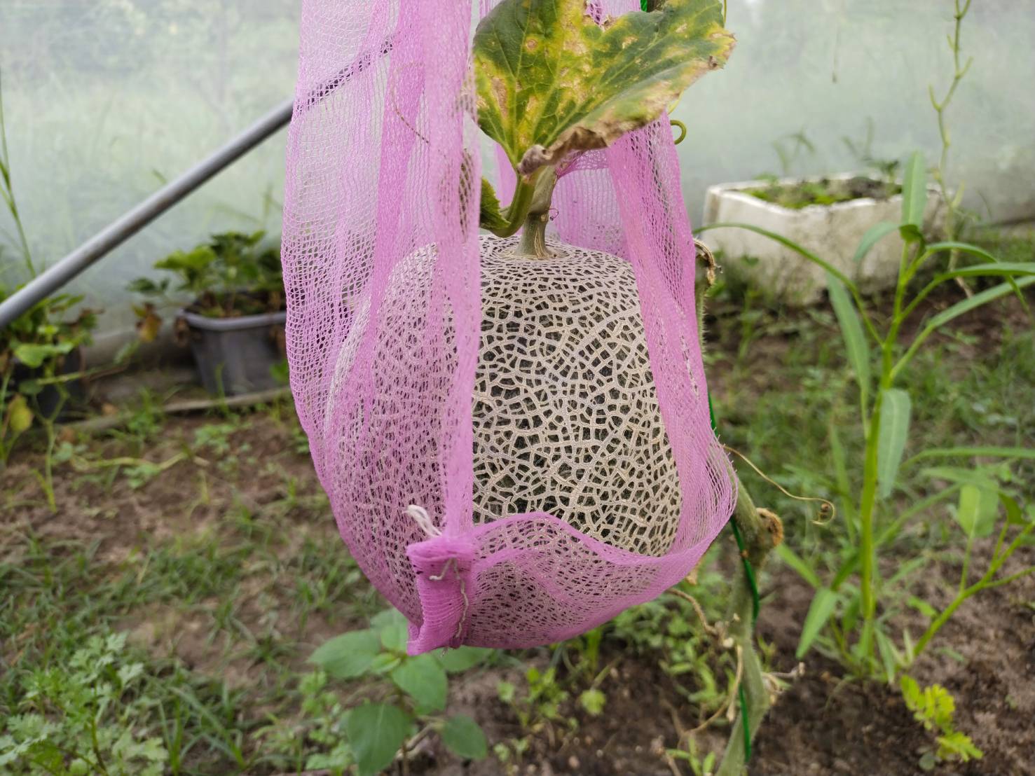 ?แปดริ้วเตรียมความพร้อมการประกวดหมู่บ้านต้นแบบการน้อมนำแนวพระราชดำริไปประยุกต์ใช้ โครงการ 9;10 ปฏิบัติบูชา “สืบสาน รักษา ต่อยอด”เพื่อพัฒนาชุมชน ประจำปี 2565??