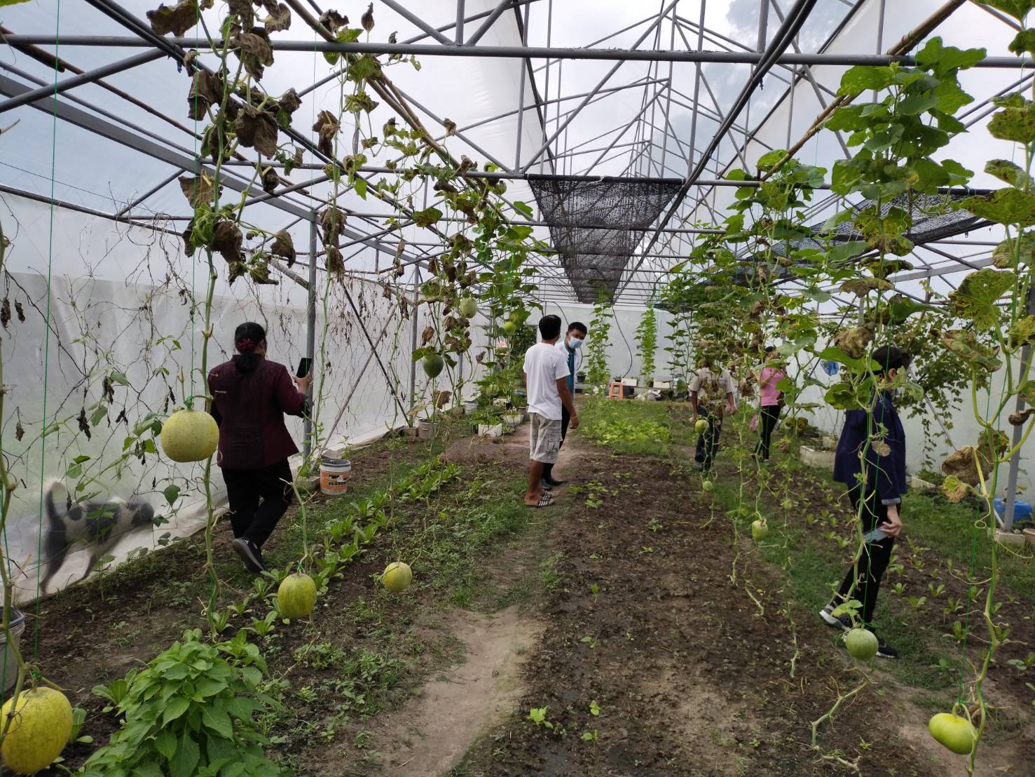 ?แปดริ้วเตรียมความพร้อมการประกวดหมู่บ้านต้นแบบการน้อมนำแนวพระราชดำริไปประยุกต์ใช้ โครงการ 9;10 ปฏิบัติบูชา “สืบสาน รักษา ต่อยอด”เพื่อพัฒนาชุมชน ประจำปี 2565??