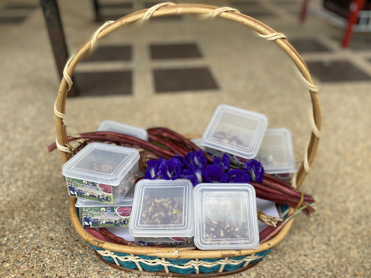 ?130 ปี กระทรวงมหาดไทย ? ฉะเชิงเทรา :แม่น้ำบางปะกงแหล่งชีวิต พระศักดิ์สิทธิ์หลวงพ่อโสธร พระยาศรีสุนทรปราชญ์ภาษาไทย เขาอ่างฤาไนป่าสมบูรณ์ ? ? ??‍??พช.ฉะเชิงเทรา รับมอบเมล็ดพันธุ์ถั่วฝักยาวสีม่วงสิรินธร เบอร์ 1 ขยายพันธ์และขยายผล จากประธานแม่บ้านมหาดไทยจังหวัดฉะเชิงเทรา สู่ผู้นำต้นแบบ กลุ่ม องค์กร ภาคีเครือข่าย และประชาชน