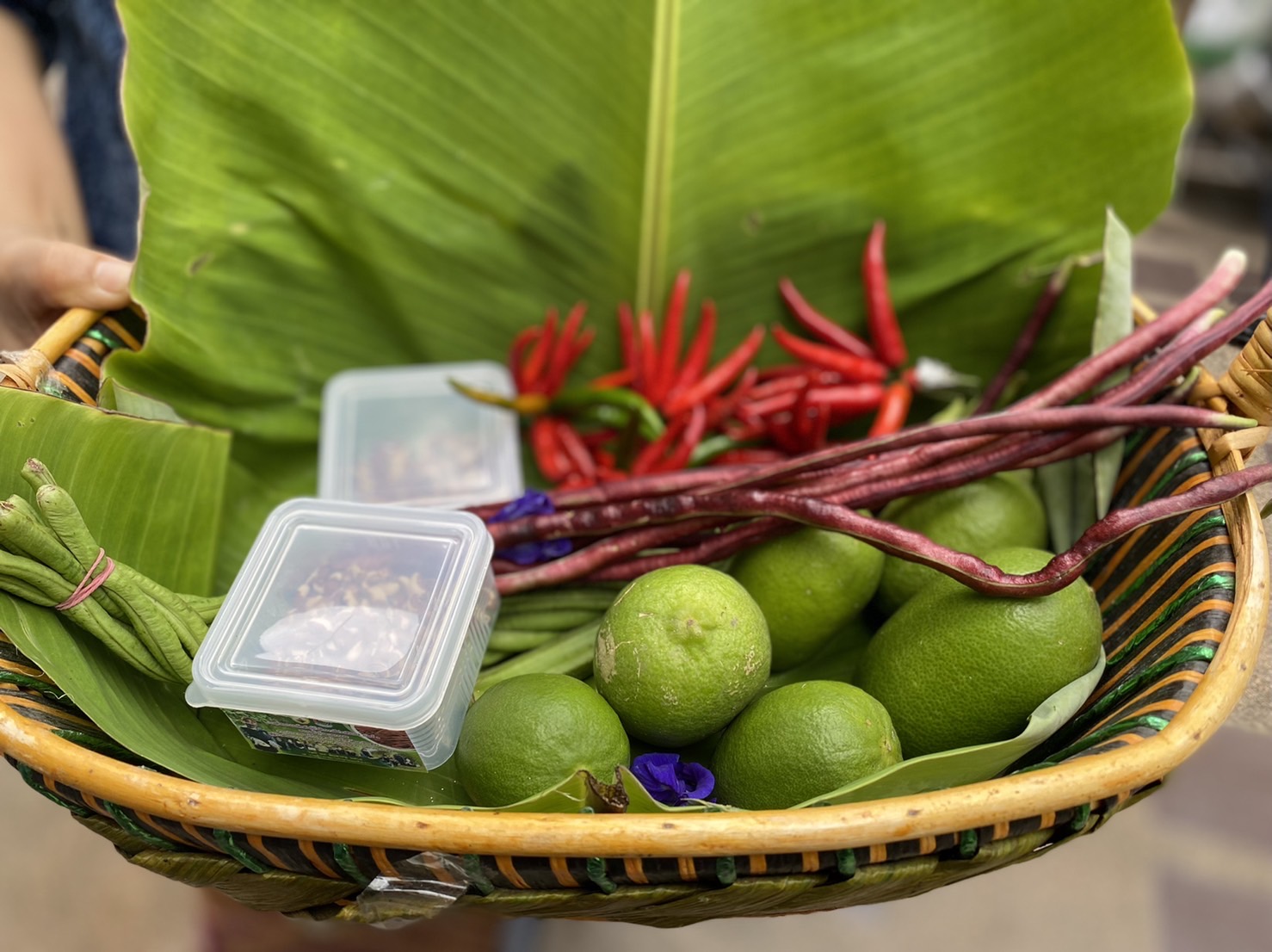 ?130 ปี กระทรวงมหาดไทย ? ฉะเชิงเทรา :แม่น้ำบางปะกงแหล่งชีวิต พระศักดิ์สิทธิ์หลวงพ่อโสธร พระยาศรีสุนทรปราชญ์ภาษาไทย เขาอ่างฤาไนป่าสมบูรณ์ ? ? ??‍??พช.ฉะเชิงเทรา รับมอบเมล็ดพันธุ์ถั่วฝักยาวสีม่วงสิรินธร เบอร์ 1 ขยายพันธ์และขยายผล จากประธานแม่บ้านมหาดไทยจังหวัดฉะเชิงเทรา สู่ผู้นำต้นแบบ กลุ่ม องค์กร ภาคีเครือข่าย และประชาชน