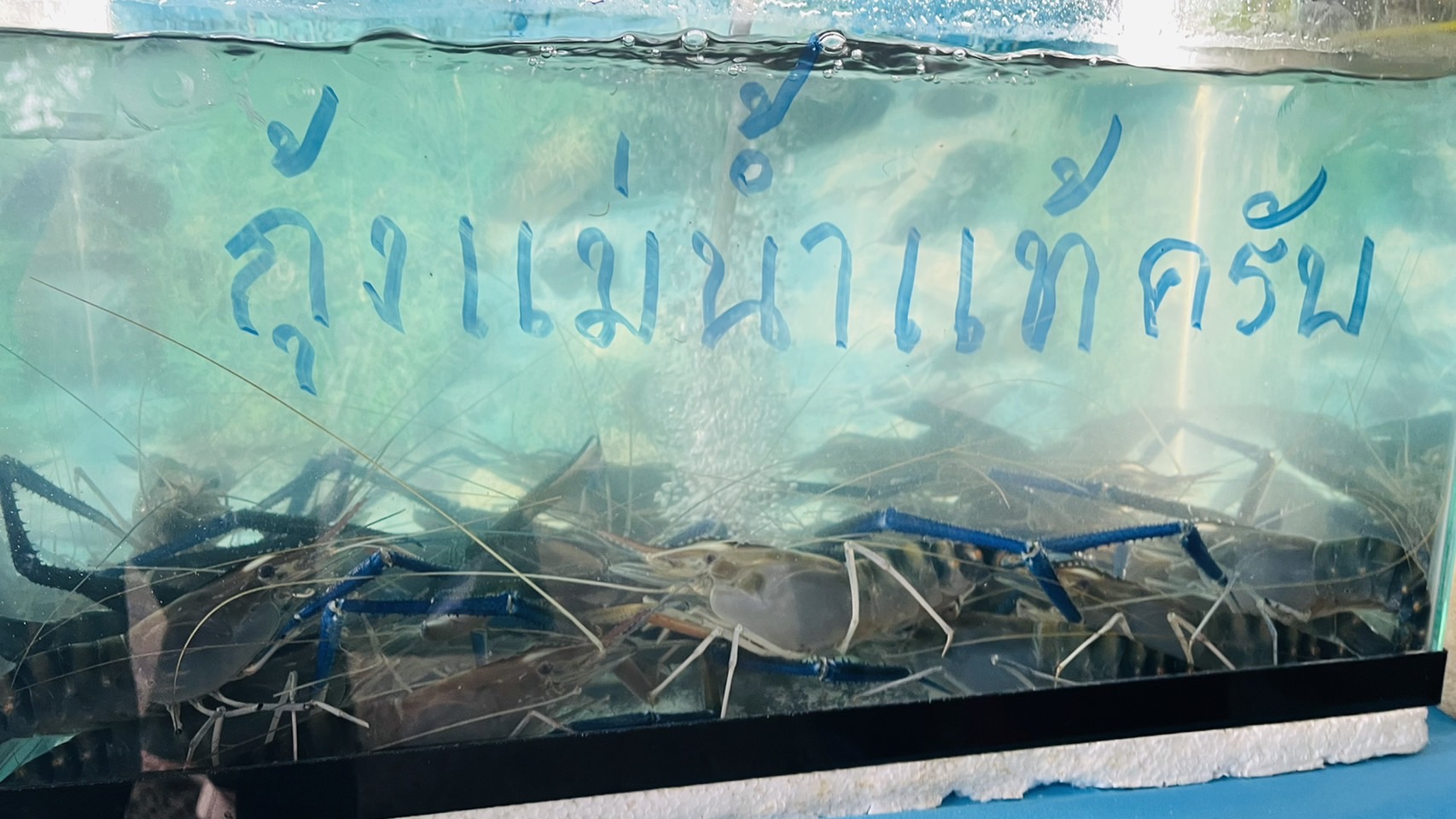 ???130 ปี กระทรวงมหาดไทย ? ฉะเชิงเทรา : “ เมืองน่าอยู่ น่าเที่ยว น่าลงทุน” พช.ฉะเชิงเทรา  ?ลงพื้นที่คัดสรรกิจกรรมพัฒนาชุมชนดีเด่นระดับจังหวัด ประจำปี 2565?