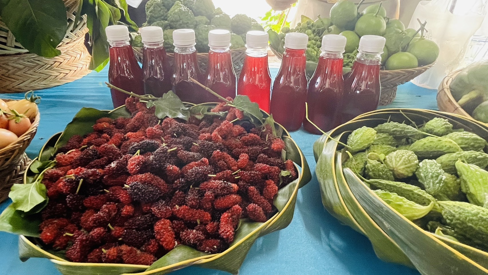 ???130 ปี กระทรวงมหาดไทย ? ฉะเชิงเทรา : “ เมืองน่าอยู่ น่าเที่ยว น่าลงทุน” พช.ฉะเชิงเทรา  ?ลงพื้นที่คัดสรรกิจกรรมพัฒนาชุมชนดีเด่นระดับจังหวัด ประจำปี 2565?