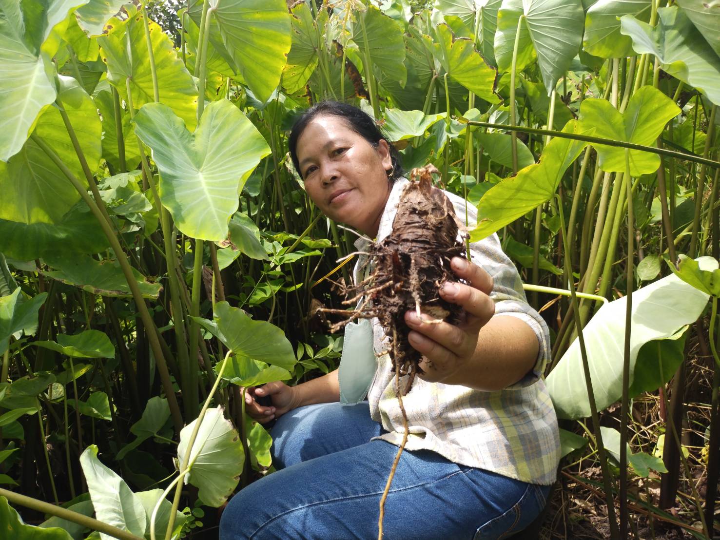 ???130 ปี กระทรวงมหาดไทย ? ฉะเชิงเทรา :แม่น้ำบางปะกงแหล่งชีวิต พระศักดิ์สิทธิ์หลวงพ่อโสธร พระยาศรีสุนทรปราชญ์ภาษาไทย เขาอ่างฤาไนป่าสมบูรณ์ ? ?  ??พช.ฉะเชิงเทรา ลงพื้นที่ถอดบทเรียนหมู่บ้านต้นแบบการน้อมนำแนวพระราชดำริไปประยุกต์ใช้ โครงการ 9;10 ปฏิบัติบูชา “สืบสาน รักษา ต่อยอด” เพื่อพัฒนาชุมชน ประจำปี 2565