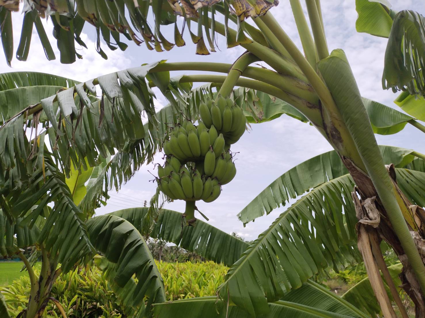 ???130 ปี กระทรวงมหาดไทย ? ฉะเชิงเทรา :แม่น้ำบางปะกงแหล่งชีวิต พระศักดิ์สิทธิ์หลวงพ่อโสธร พระยาศรีสุนทรปราชญ์ภาษาไทย เขาอ่างฤาไนป่าสมบูรณ์ ? ?  ??พช.ฉะเชิงเทรา ลงพื้นที่ถอดบทเรียนหมู่บ้านต้นแบบการน้อมนำแนวพระราชดำริไปประยุกต์ใช้ โครงการ 9;10 ปฏิบัติบูชา “สืบสาน รักษา ต่อยอด” เพื่อพัฒนาชุมชน ประจำปี 2565