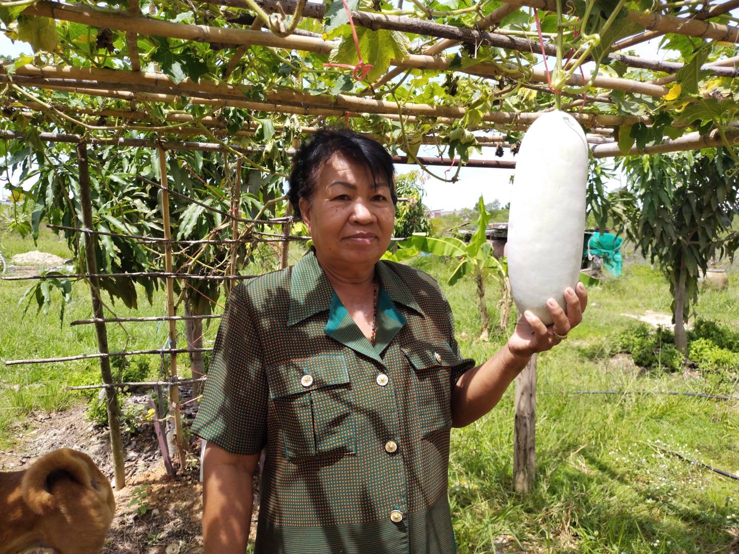 ???130 ปี กระทรวงมหาดไทย ? ฉะเชิงเทรา :แม่น้ำบางปะกงแหล่งชีวิต พระศักดิ์สิทธิ์หลวงพ่อโสธร พระยาศรีสุนทรปราชญ์ภาษาไทย เขาอ่างฤาไนป่าสมบูรณ์ ? ?  ??พช.ฉะเชิงเทรา ลงพื้นที่ถอดบทเรียนหมู่บ้านต้นแบบการน้อมนำแนวพระราชดำริไปประยุกต์ใช้ โครงการ 9;10 ปฏิบัติบูชา “สืบสาน รักษา ต่อยอด” เพื่อพัฒนาชุมชน ประจำปี 2565