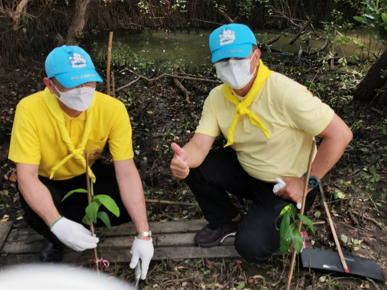 ??พช.ฉะเชิงเทรา ร่วมกิจกรรมจิตอาสาปลูกป่าชายเลนเฉลิมพระเกียรติ เนื่องในโอกาสวันเฉลิมพระชนมพรรษาพระบาทสมเด็จพระเจ้าอยู่หัว