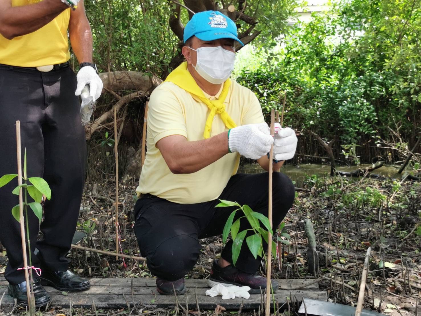 ??พช.ฉะเชิงเทรา ร่วมกิจกรรมจิตอาสาปลูกป่าชายเลนเฉลิมพระเกียรติ เนื่องในโอกาสวันเฉลิมพระชนมพรรษาพระบาทสมเด็จพระเจ้าอยู่หัว