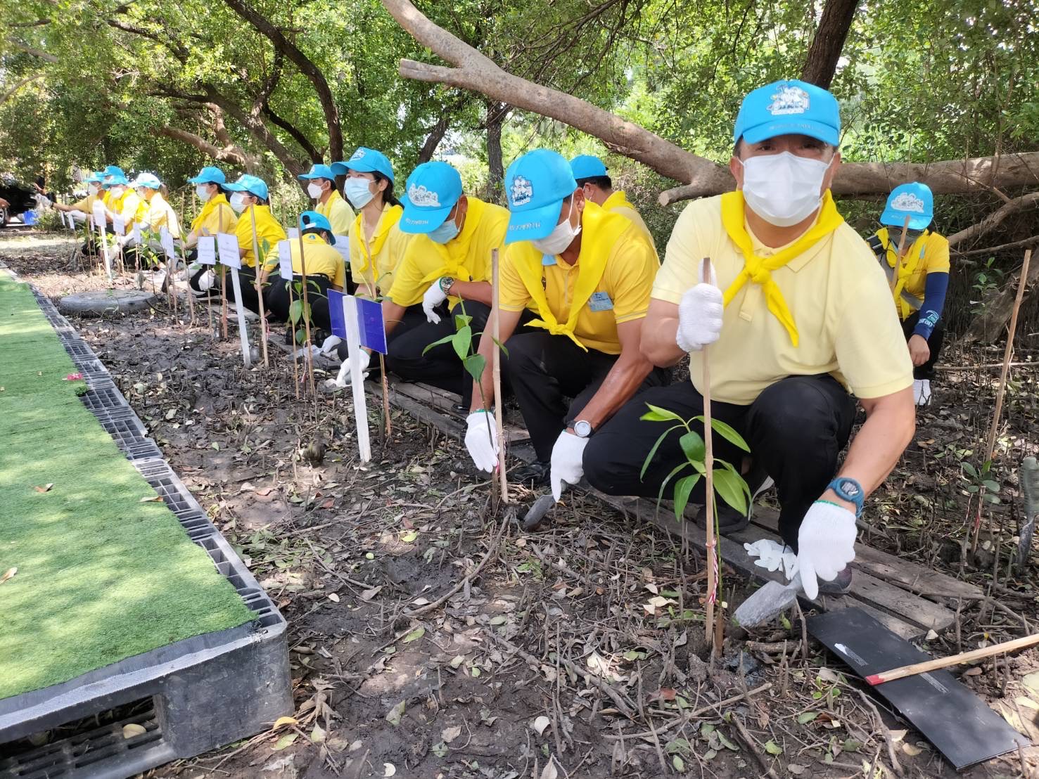 ??พช.ฉะเชิงเทรา ร่วมกิจกรรมจิตอาสาปลูกป่าชายเลนเฉลิมพระเกียรติ เนื่องในโอกาสวันเฉลิมพระชนมพรรษาพระบาทสมเด็จพระเจ้าอยู่หัว