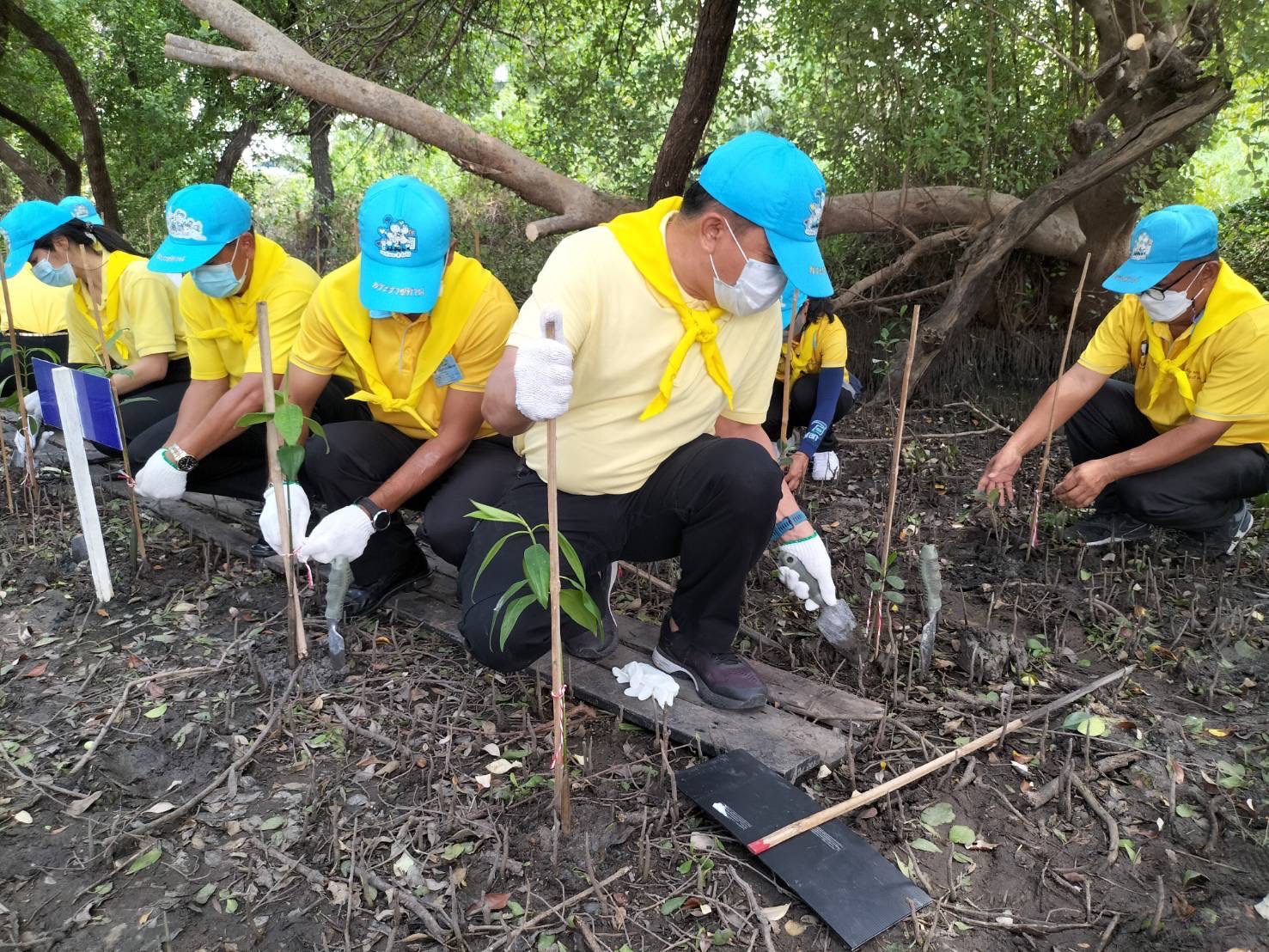 ??พช.ฉะเชิงเทรา ร่วมกิจกรรมจิตอาสาปลูกป่าชายเลนเฉลิมพระเกียรติ เนื่องในโอกาสวันเฉลิมพระชนมพรรษาพระบาทสมเด็จพระเจ้าอยู่หัว