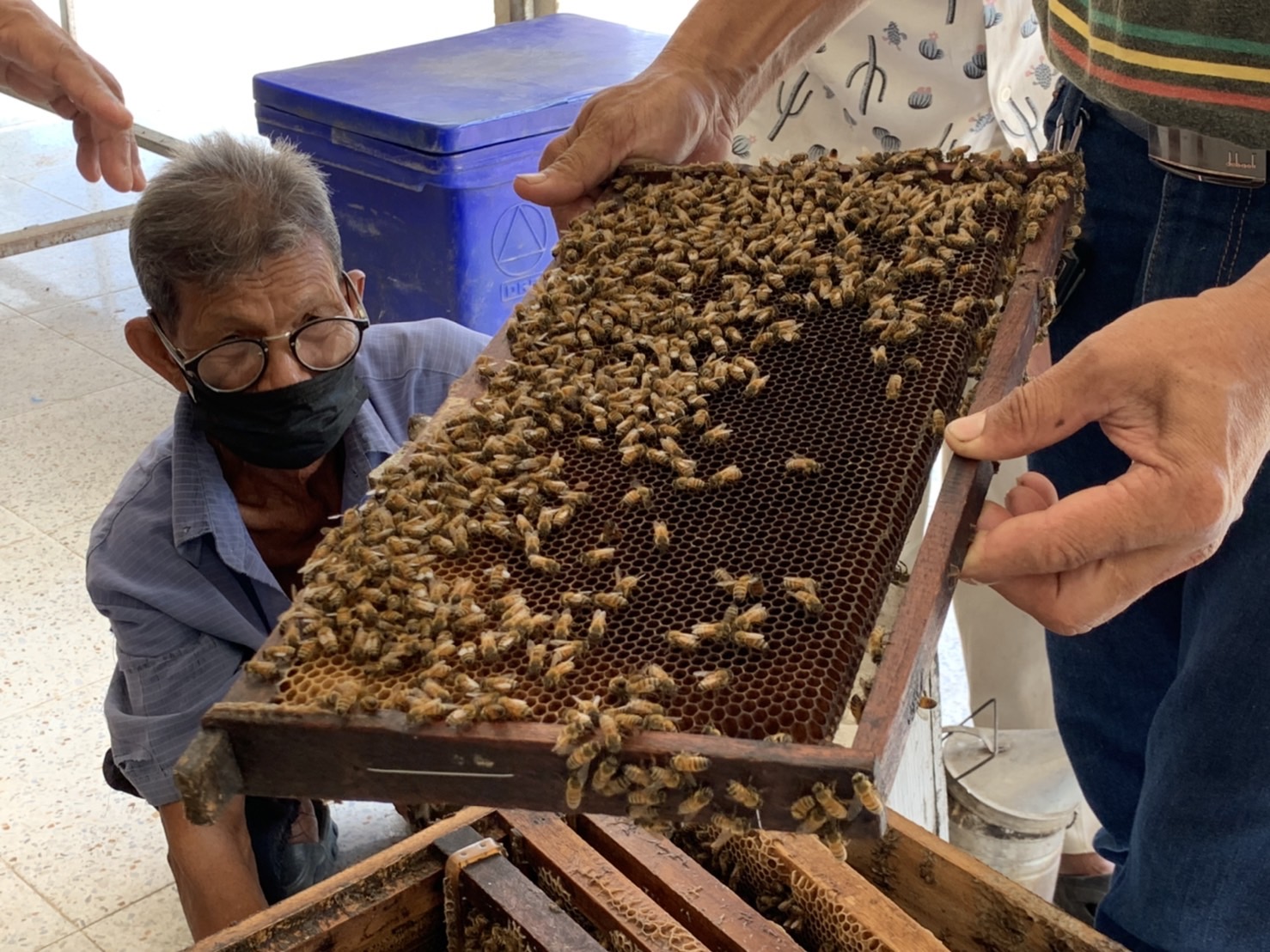 ??พช.ฉะเชิงเทรา ดำเนินโครงการส่งเสริมและพัฒนาเกษตรกร และสถาบันเกษตรให้มีความเข้มแข็งตามหลักปรัชญาของเศรษฐกิจพอเพียง