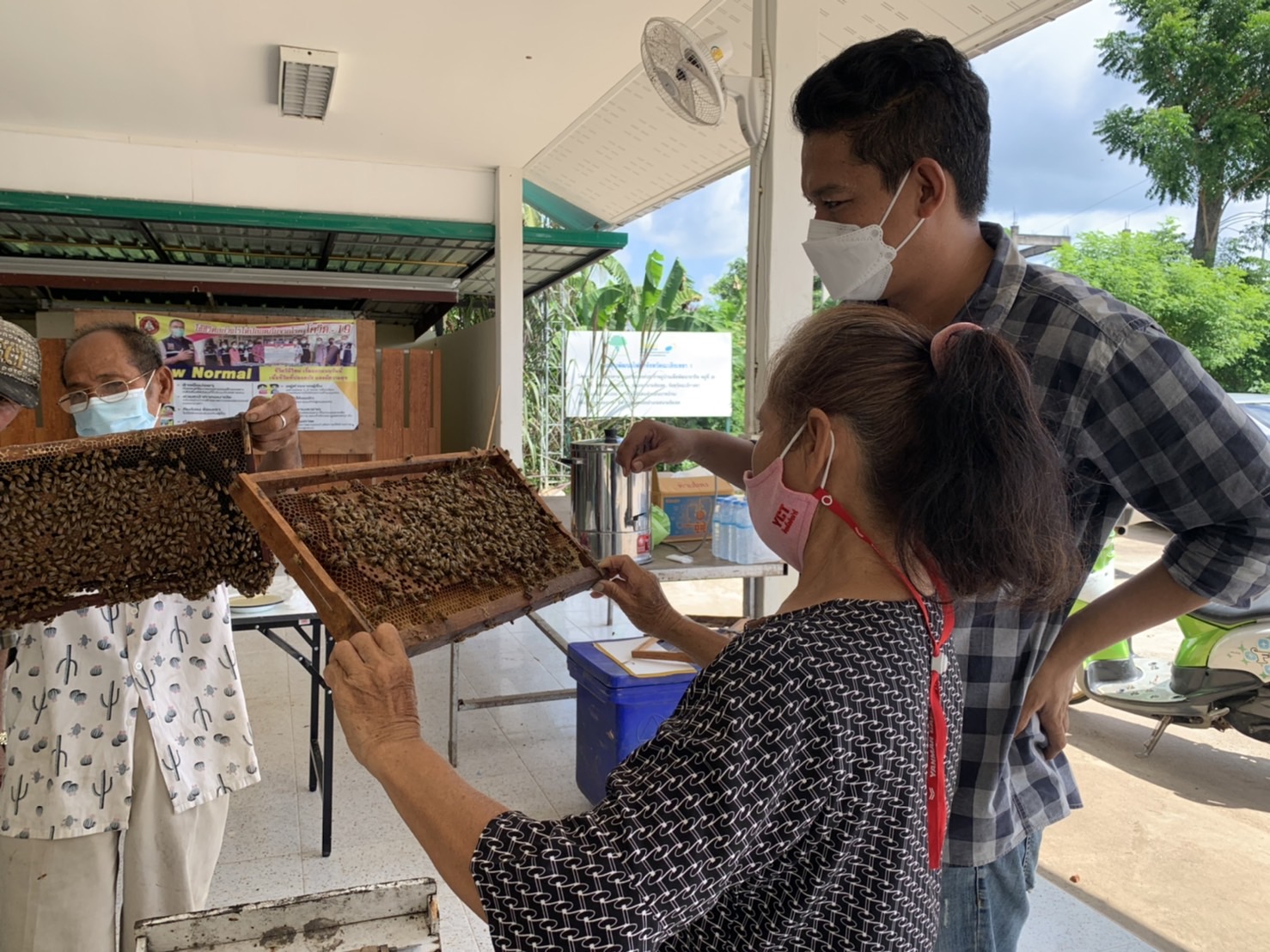 ??พช.ฉะเชิงเทรา ดำเนินโครงการส่งเสริมและพัฒนาเกษตรกร และสถาบันเกษตรให้มีความเข้มแข็งตามหลักปรัชญาของเศรษฐกิจพอเพียง