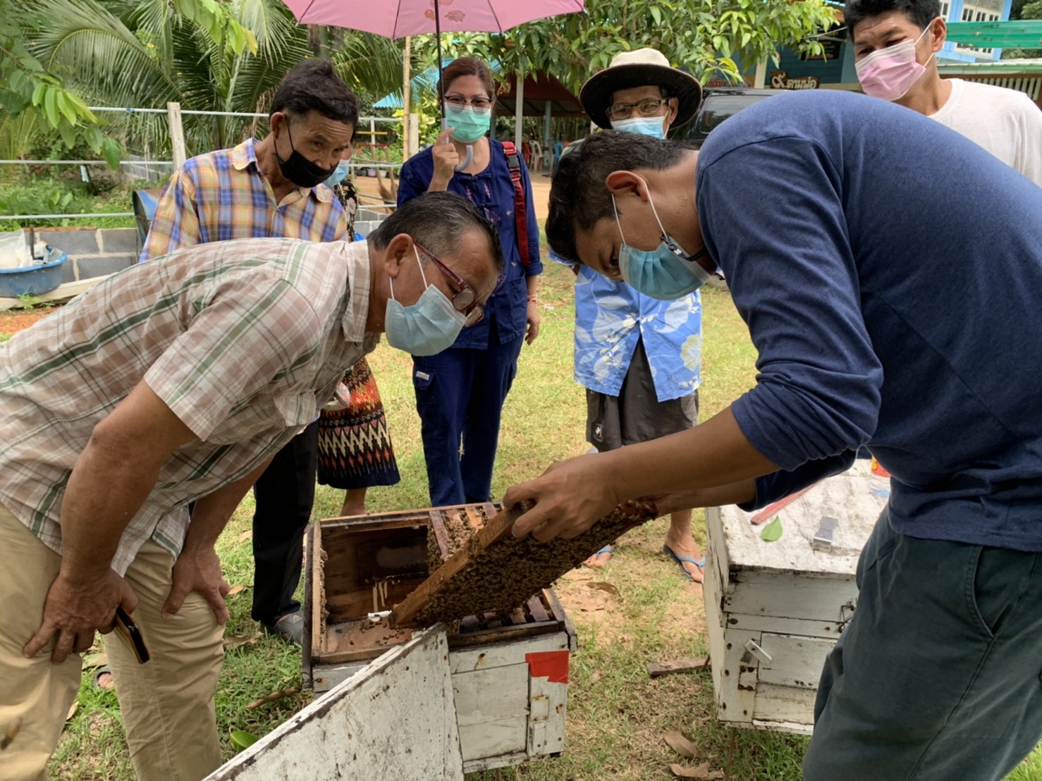 ??พช.ฉะเชิงเทรา ดำเนินโครงการส่งเสริมและพัฒนาเกษตรกร และสถาบันเกษตรให้มีความเข้มแข็งตามหลักปรัชญาของเศรษฐกิจพอเพียง