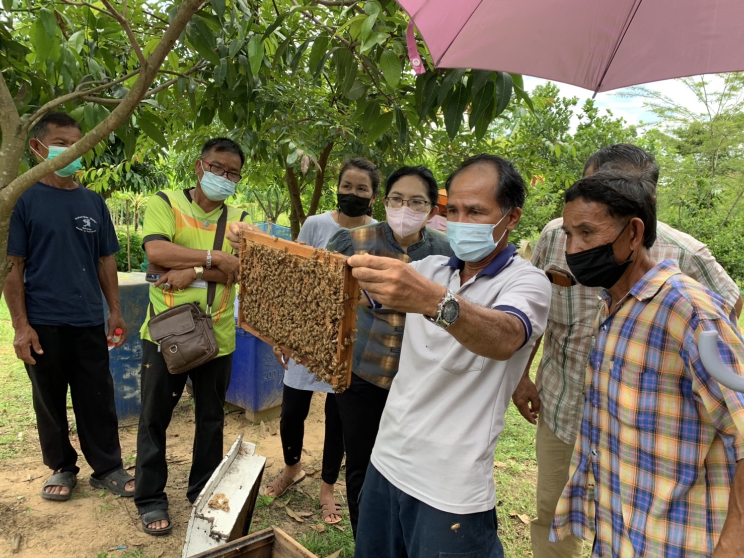 ??พช.ฉะเชิงเทรา ดำเนินโครงการส่งเสริมและพัฒนาเกษตรกร และสถาบันเกษตรให้มีความเข้มแข็งตามหลักปรัชญาของเศรษฐกิจพอเพียง