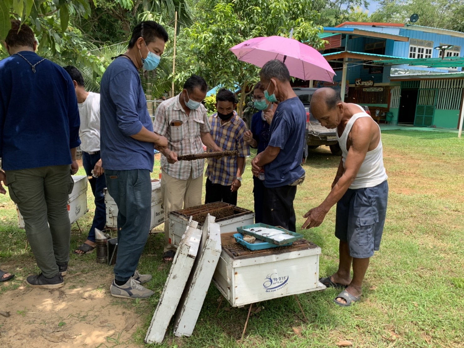 ??พช.ฉะเชิงเทรา ดำเนินโครงการส่งเสริมและพัฒนาเกษตรกร และสถาบันเกษตรให้มีความเข้มแข็งตามหลักปรัชญาของเศรษฐกิจพอเพียง