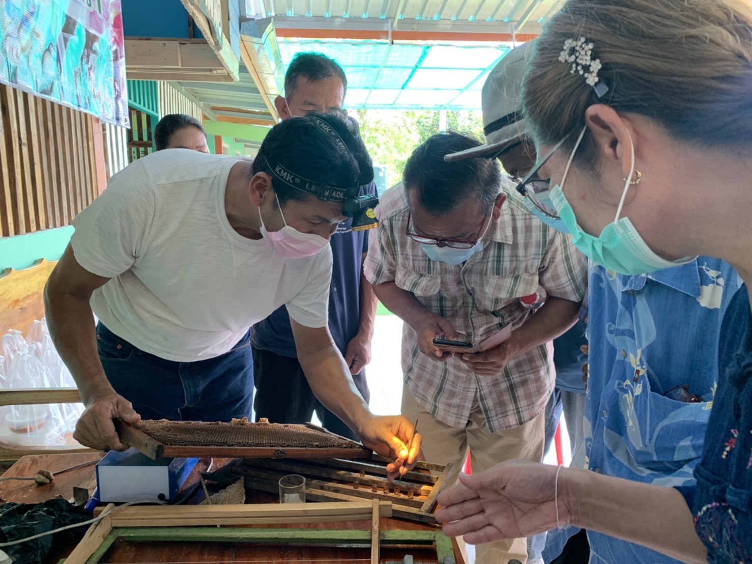 ??พช.ฉะเชิงเทรา ดำเนินโครงการส่งเสริมและพัฒนาเกษตรกร และสถาบันเกษตรให้มีความเข้มแข็งตามหลักปรัชญาของเศรษฐกิจพอเพียง