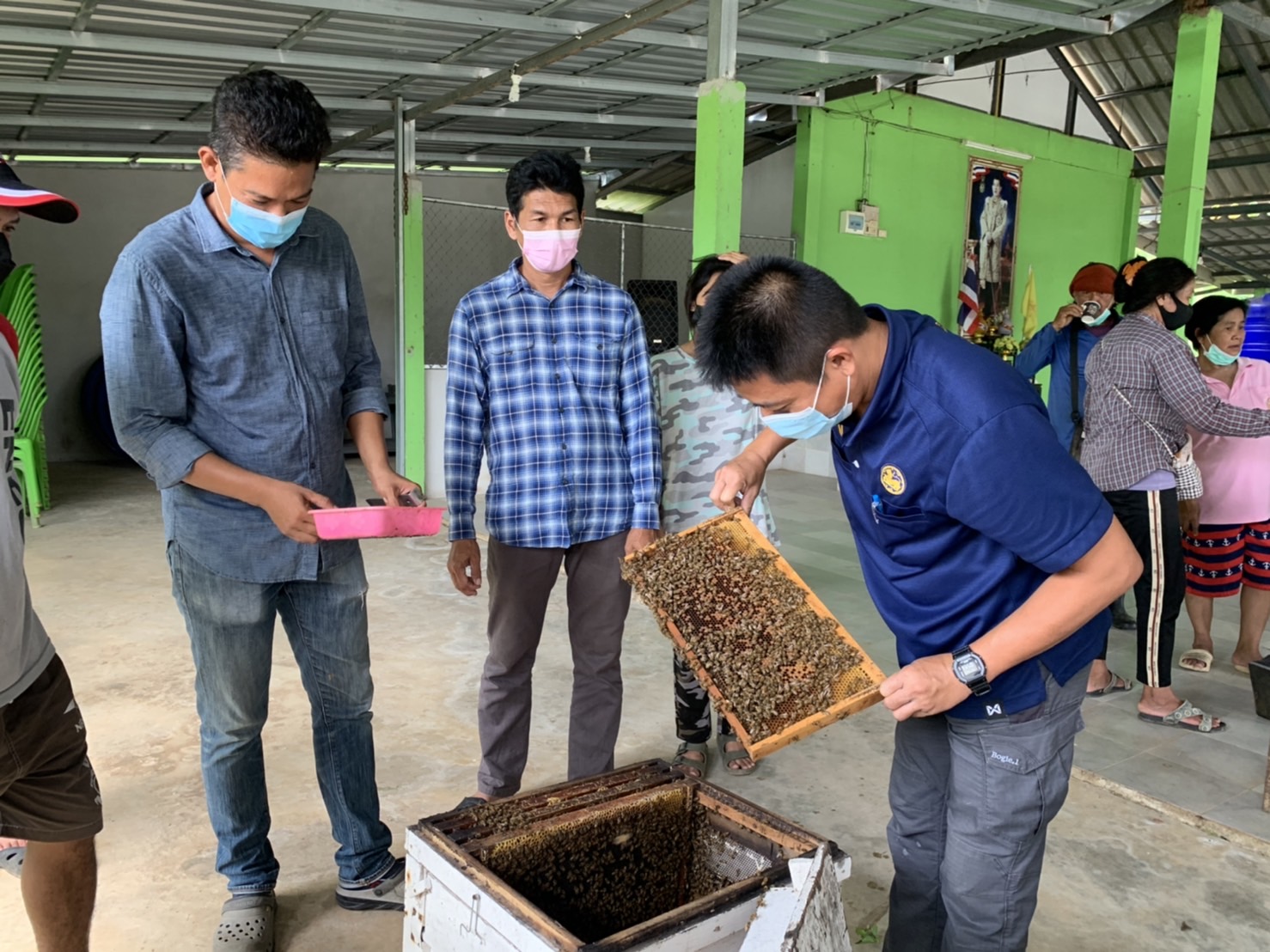 ??พช.ฉะเชิงเทรา ดำเนินโครงการส่งเสริมและพัฒนาเกษตรกร และสถาบันเกษตรให้มีความเข้มแข็งตามหลักปรัชญาของเศรษฐกิจพอเพียง