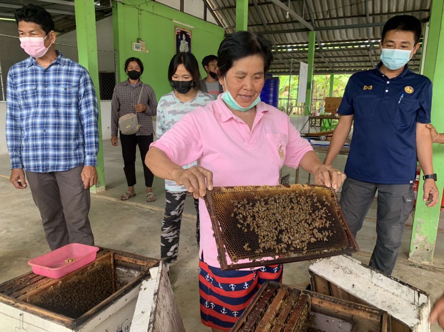 ??พช.ฉะเชิงเทรา ดำเนินโครงการส่งเสริมและพัฒนาเกษตรกร และสถาบันเกษตรให้มีความเข้มแข็งตามหลักปรัชญาของเศรษฐกิจพอเพียง