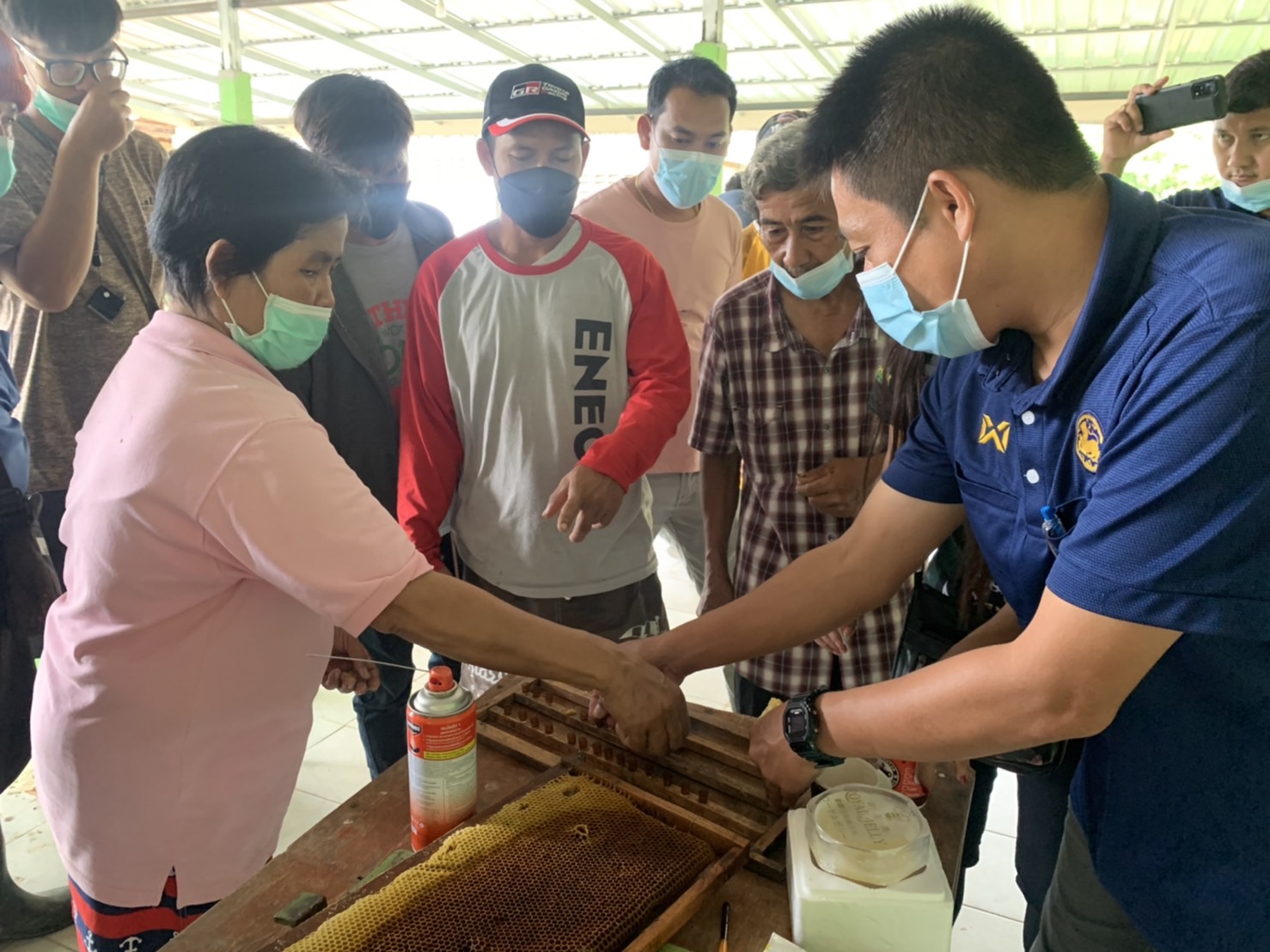 ??พช.ฉะเชิงเทรา ดำเนินโครงการส่งเสริมและพัฒนาเกษตรกร และสถาบันเกษตรให้มีความเข้มแข็งตามหลักปรัชญาของเศรษฐกิจพอเพียง