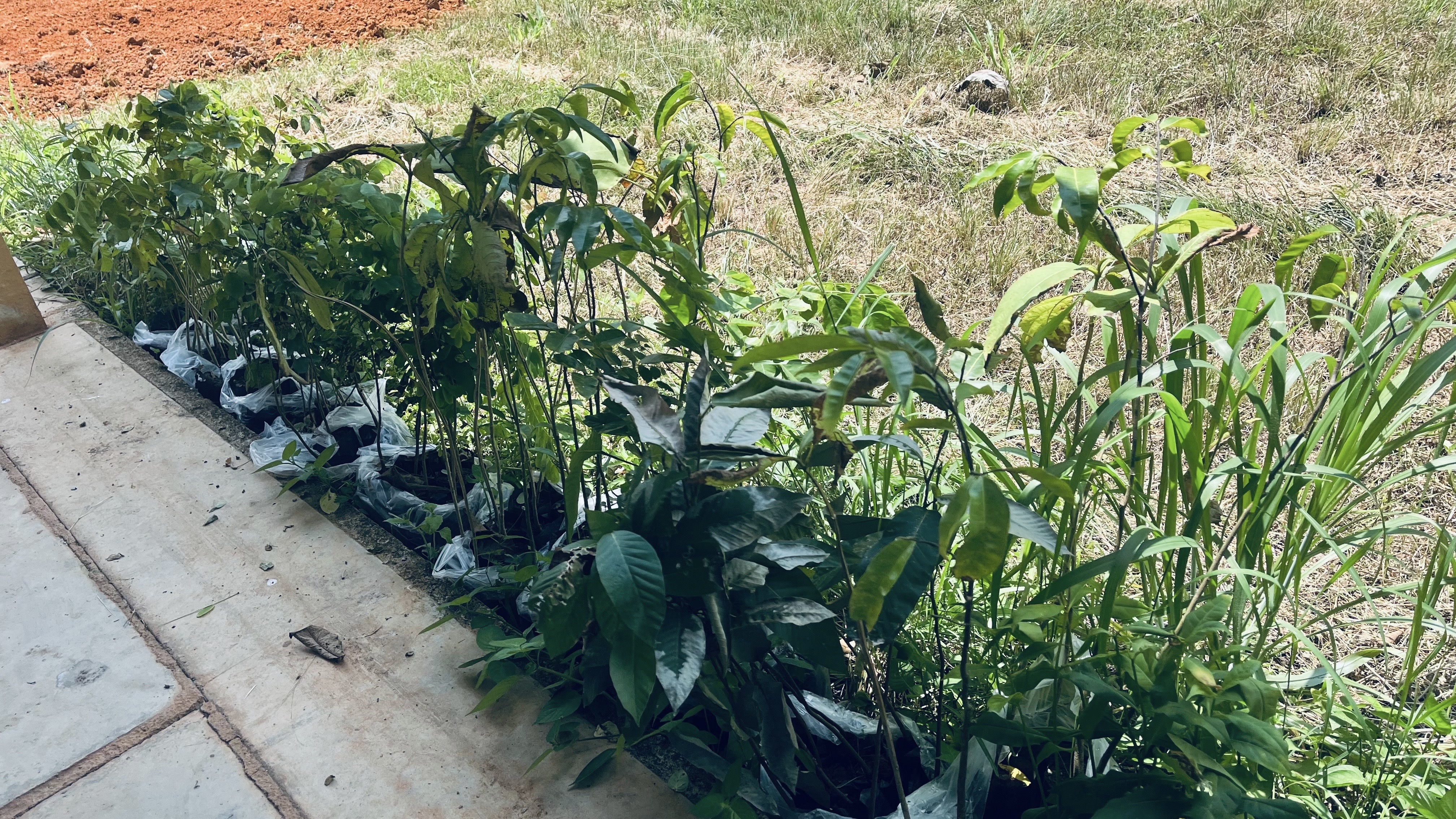 ???130 ปี กระทรวงมหาดไทย ? ฉะเชิงเทรา :แม่น้ำบางปะกงแหล่งชีวิต พระศักดิ์สิทธิ์หลวงพ่อโสธร พระยาศรีสุนทรปราชญ์ภาษาไทย เขาอ่างฤาไนป่าสมบูรณ์ ? ? ?⛰พช.ฉะเชิงเทรา ลงพื้นที่เตรียมความพร้อมโครงการแปดริ้วร่วมใจ ปลูกป่า ถวายแด่องค์ราชา