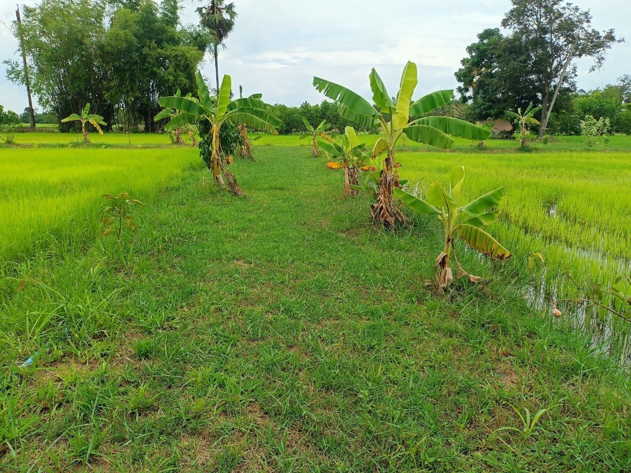 ???130 ปี กระทรวงมหาดไทย ? ฉะเชิงเทรา :แม่น้ำบางปะกงแหล่งชีวิต พระศักดิ์สิทธิ์หลวงพ่อโสธร พระยาศรีสุนทรปราชญ์ภาษาไทย เขาอ่างฤาไนป่าสมบูรณ์ ? ? ??พช.ฉะเชิงเทรา เยี่ยมชม โครงการ “วัด ประชา รัฐ สร้างสุข พ.ศ. 2565”