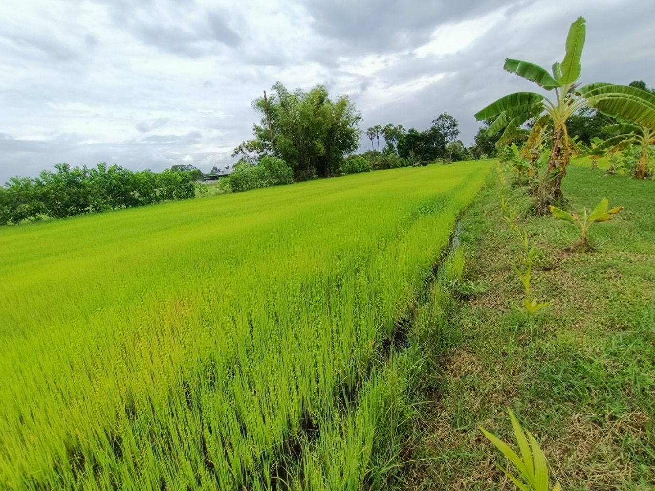 ???130 ปี กระทรวงมหาดไทย ? ฉะเชิงเทรา :แม่น้ำบางปะกงแหล่งชีวิต พระศักดิ์สิทธิ์หลวงพ่อโสธร พระยาศรีสุนทรปราชญ์ภาษาไทย เขาอ่างฤาไนป่าสมบูรณ์ ? ? ??พช.ฉะเชิงเทรา เยี่ยมชม โครงการ “วัด ประชา รัฐ สร้างสุข พ.ศ. 2565”