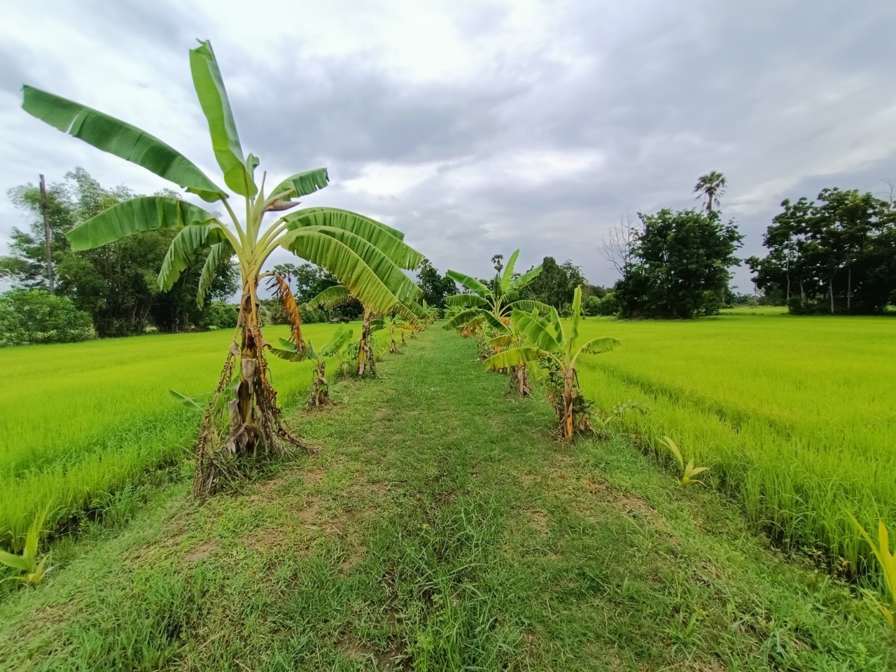???130 ปี กระทรวงมหาดไทย ? ฉะเชิงเทรา :แม่น้ำบางปะกงแหล่งชีวิต พระศักดิ์สิทธิ์หลวงพ่อโสธร พระยาศรีสุนทรปราชญ์ภาษาไทย เขาอ่างฤาไนป่าสมบูรณ์ ? ? ??พช.ฉะเชิงเทรา เยี่ยมชม โครงการ “วัด ประชา รัฐ สร้างสุข พ.ศ. 2565”
