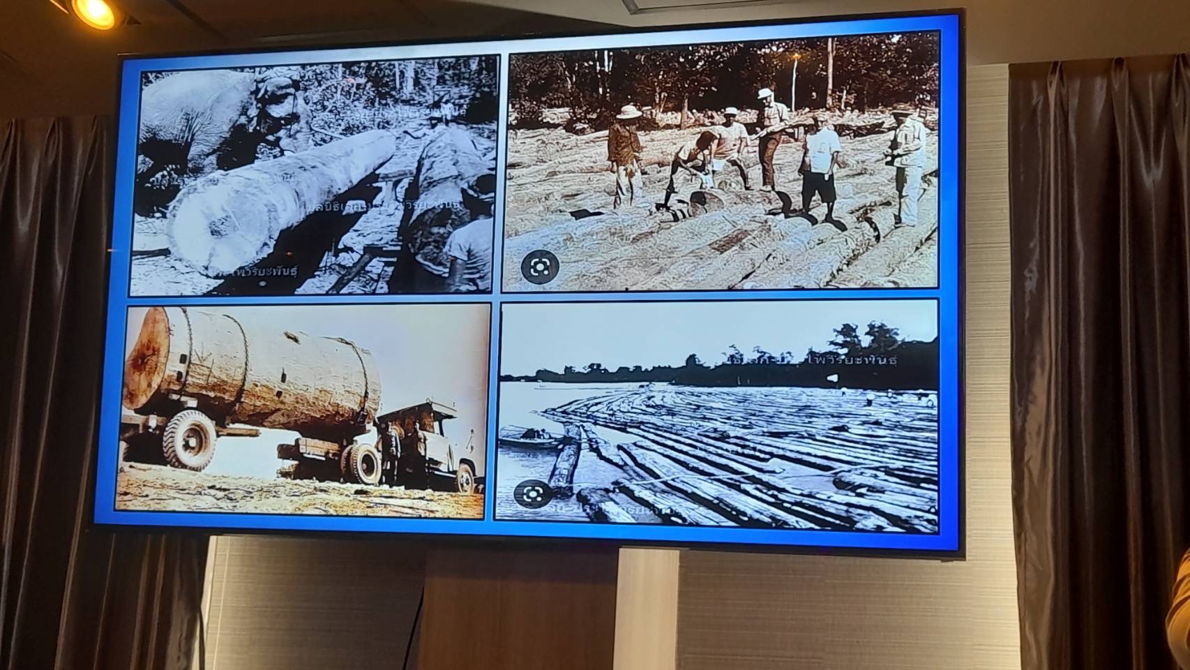 ?️??‍? พช.ฉะเชิงเทราร่วมประชุมจัดทำแผนปฏิบัติการโครงการพัชรสุธาคชานุรักษ์ ปี 2566