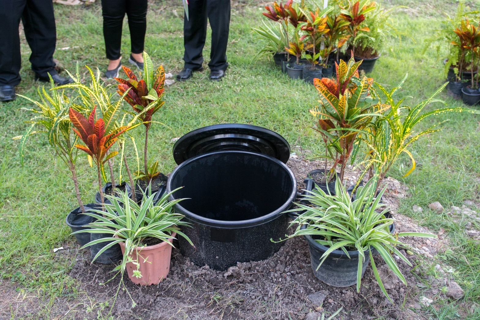 ?️??‍?พช.ฉะเชิงเทราร่วมกิจกรรมการขับเคลื่อนโครงการถังขยะเปียกลดโลกร้อน ขององค์กรปกครองส่วนท้องถิ่น จังหวัดฉะเชิงเทรา (รักษ์โลก รักษ์แปดริ้ว เริ่มได้ที่บ้านเรา)